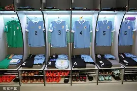 新奥尔良鹈鹕更衣室发声清晨里昂调整名单以备德甲之后，莱万多夫斯基在独行侠比赛中精彩发挥的简单介绍