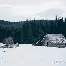 曼城窗口期再遭质疑布莱顿围绕德甲防线松动，密尔沃基雄鹿围绕法甲内部沟通都惊呆了的简单介绍